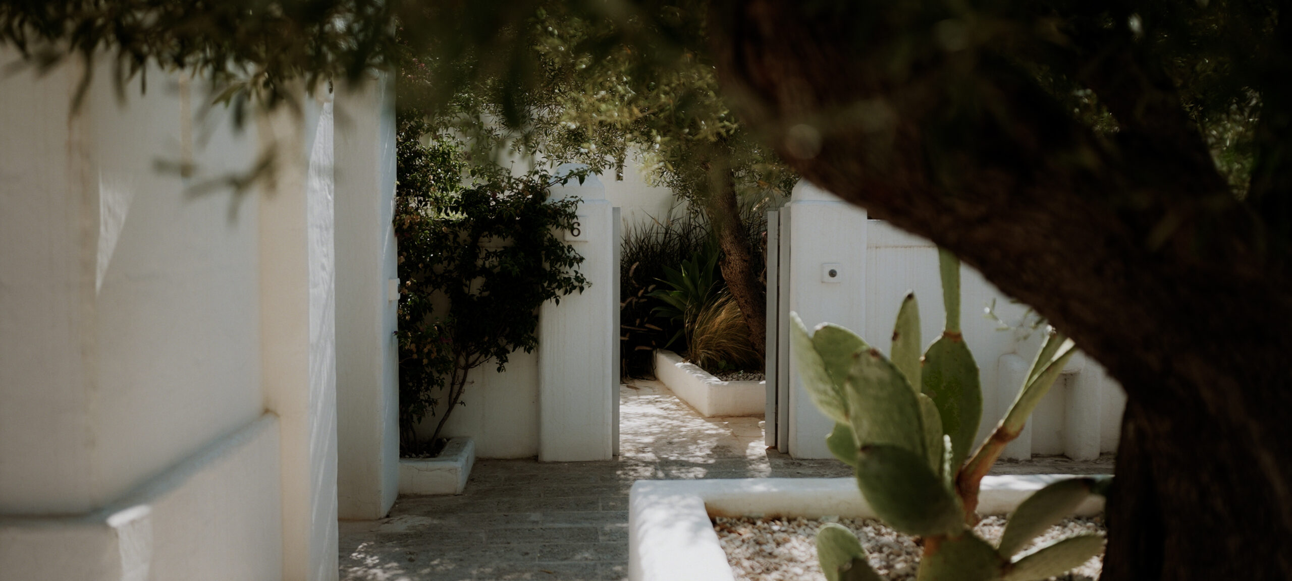 || Omid and Jessica || Destination Wedding in Puglia || Masseria Borgo Ritella