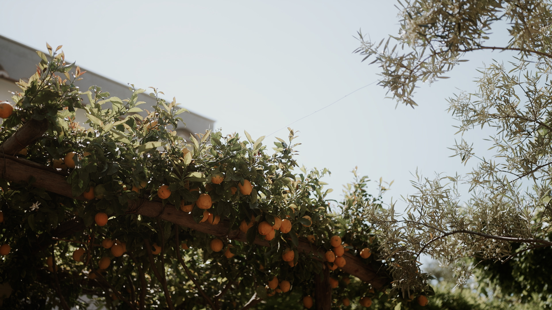 Miles and Desire || Destination Wedding in Ravello || VILLA EVA