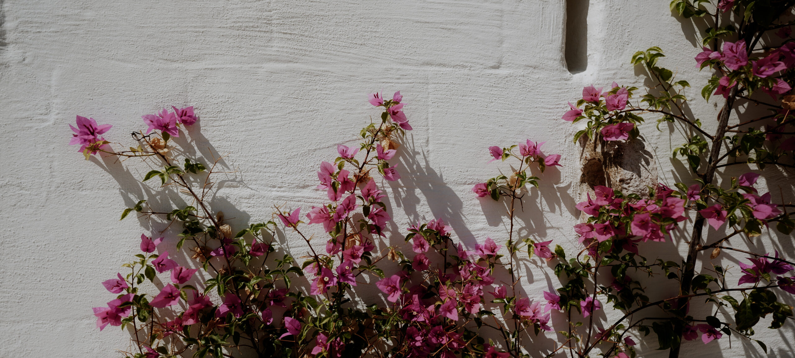|| Omid and Jessica || Destination Wedding in Puglia || Masseria Borgo Ritella