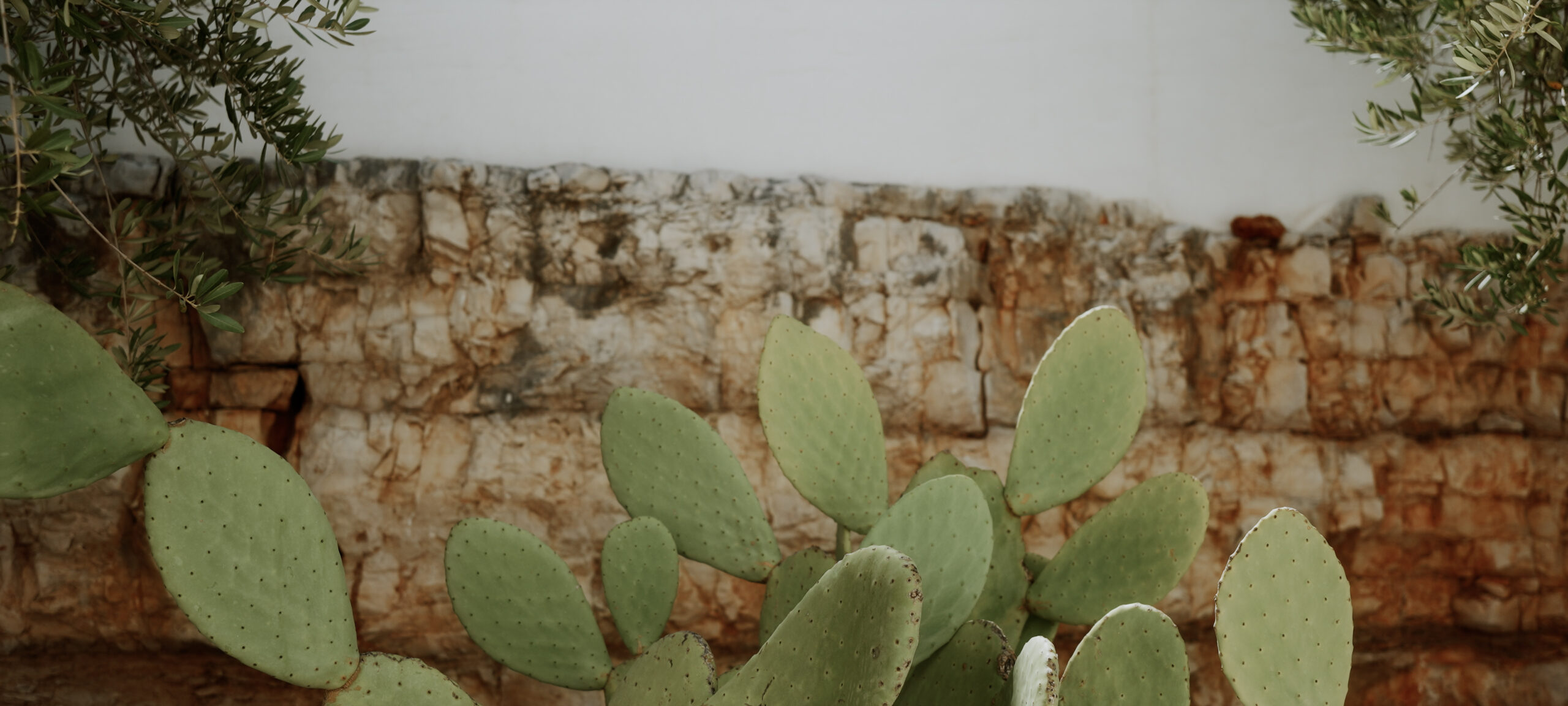 || Omid and Jessica || Destination Wedding in Puglia || Masseria Borgo Ritella