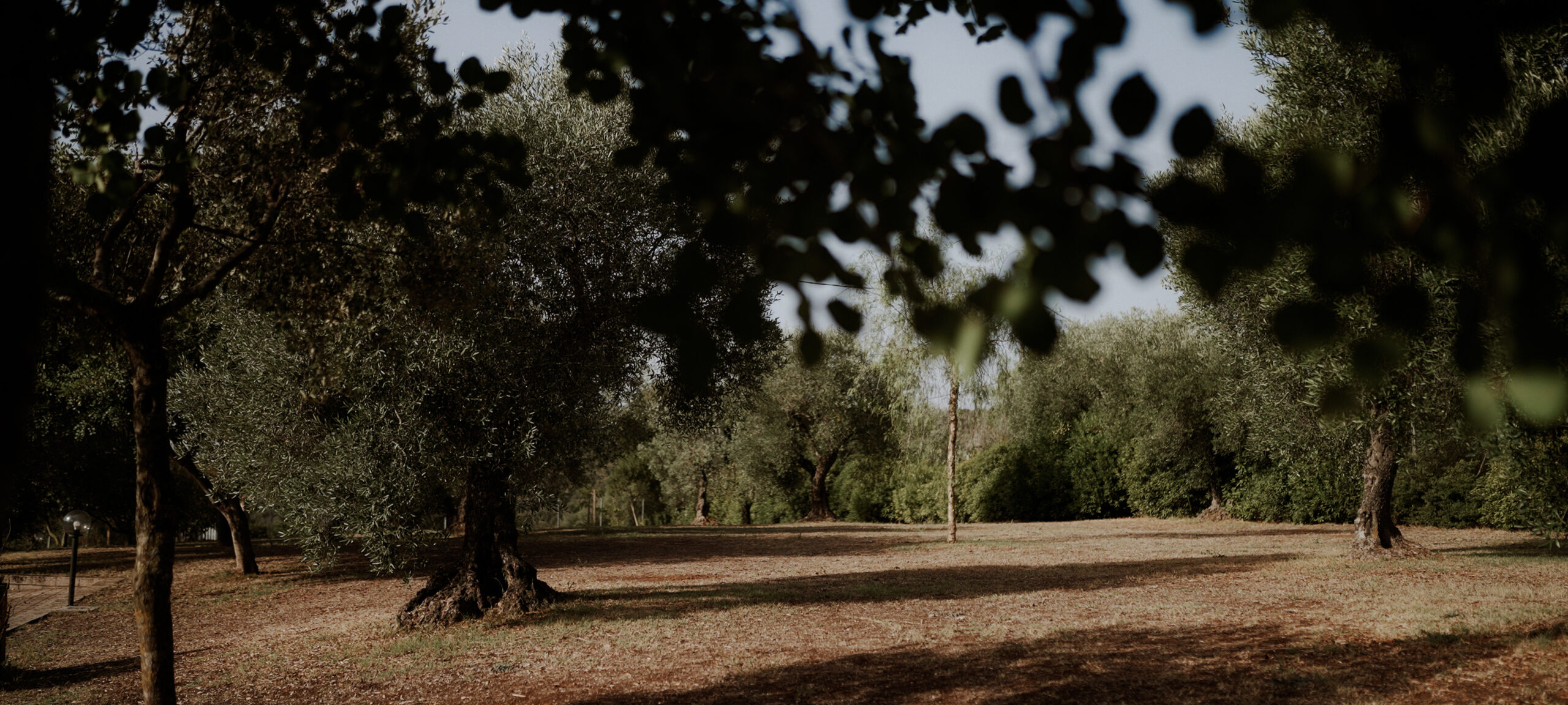 || Francesco and Veronica || Destination Wedding in Priverno || Villa Amoroso