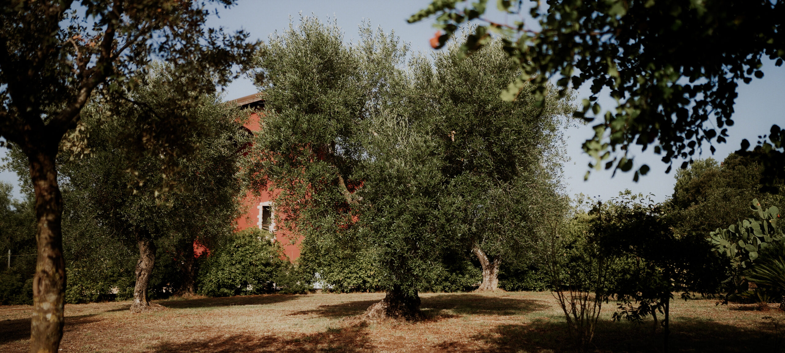 || Francesco and Veronica || Destination Wedding in Priverno || Villa Amoroso